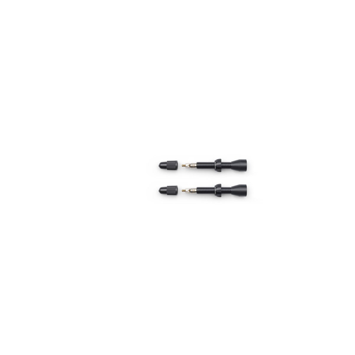 Valves tubeless MY21 SCOPE