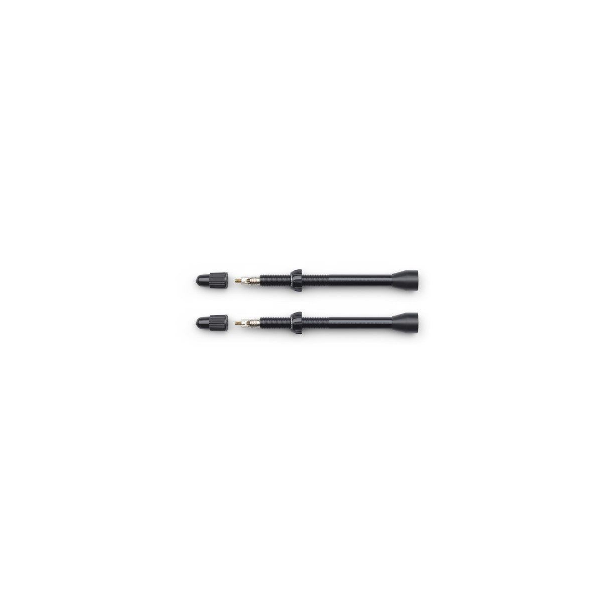 Valves tubeless MY21 SCOPE