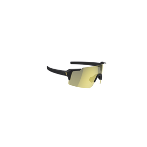 Lunettes photocromiques FullView PH, gold mirror/noir mat BBB