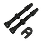 Valves tubeless Presta Hutchinson obus démontable (paire) – 44 mm