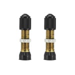 Valves tubeless Schrader argent 44 mm obus démontable (paire)