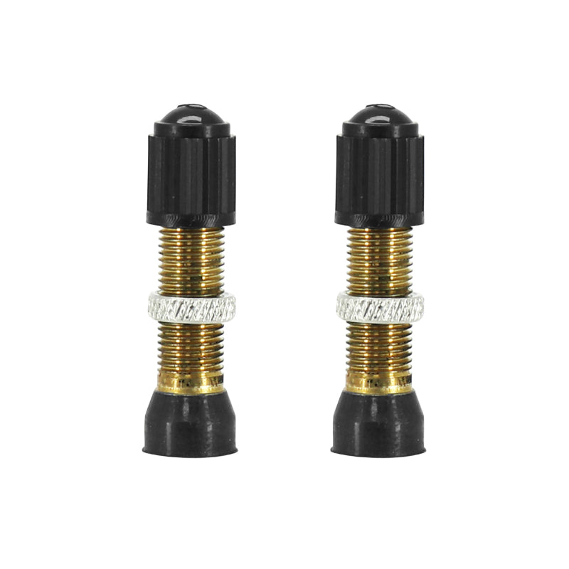 Valves tubeless Schrader argent 44 mm obus démontable (paire)