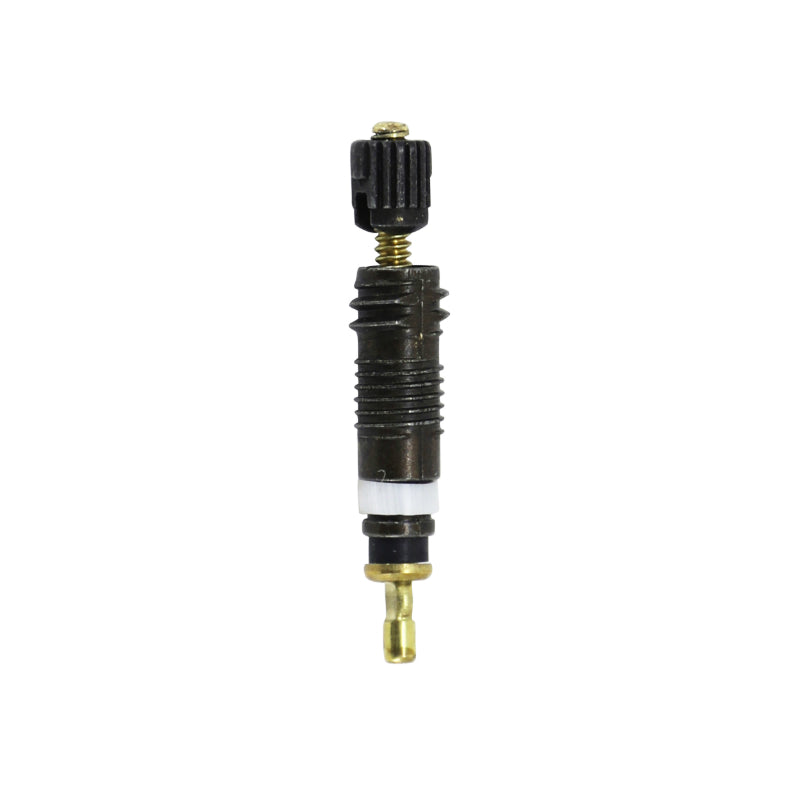 Obus de valve Presta Schwalbe – Noir