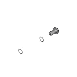 SHIMANO Vis Banjo & O-Ring BR-M8100