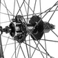 Roue arrière VTC 700 M260 renforcée Shimano QB400 disque-patin – vue 3