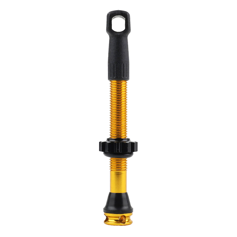 Valve tubeless Presta Newton 4 trous – Or 47 mm