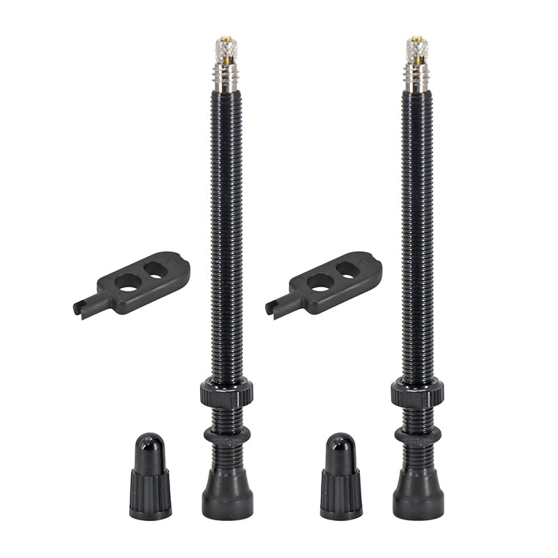 Valves tubeless Presta Hutchinson obus démontable (paire) – 80 mm