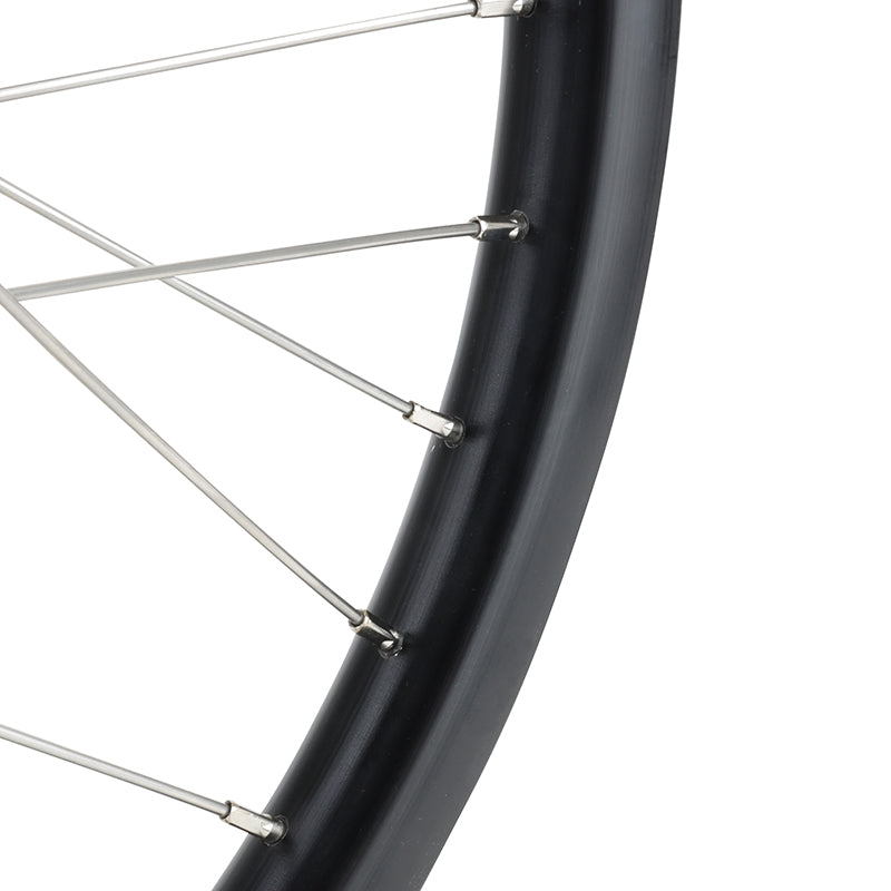 Roue arrière cargo-VAE 20" ER20 moyeu Nexus 5 vitesses frein Coaster – vue 4