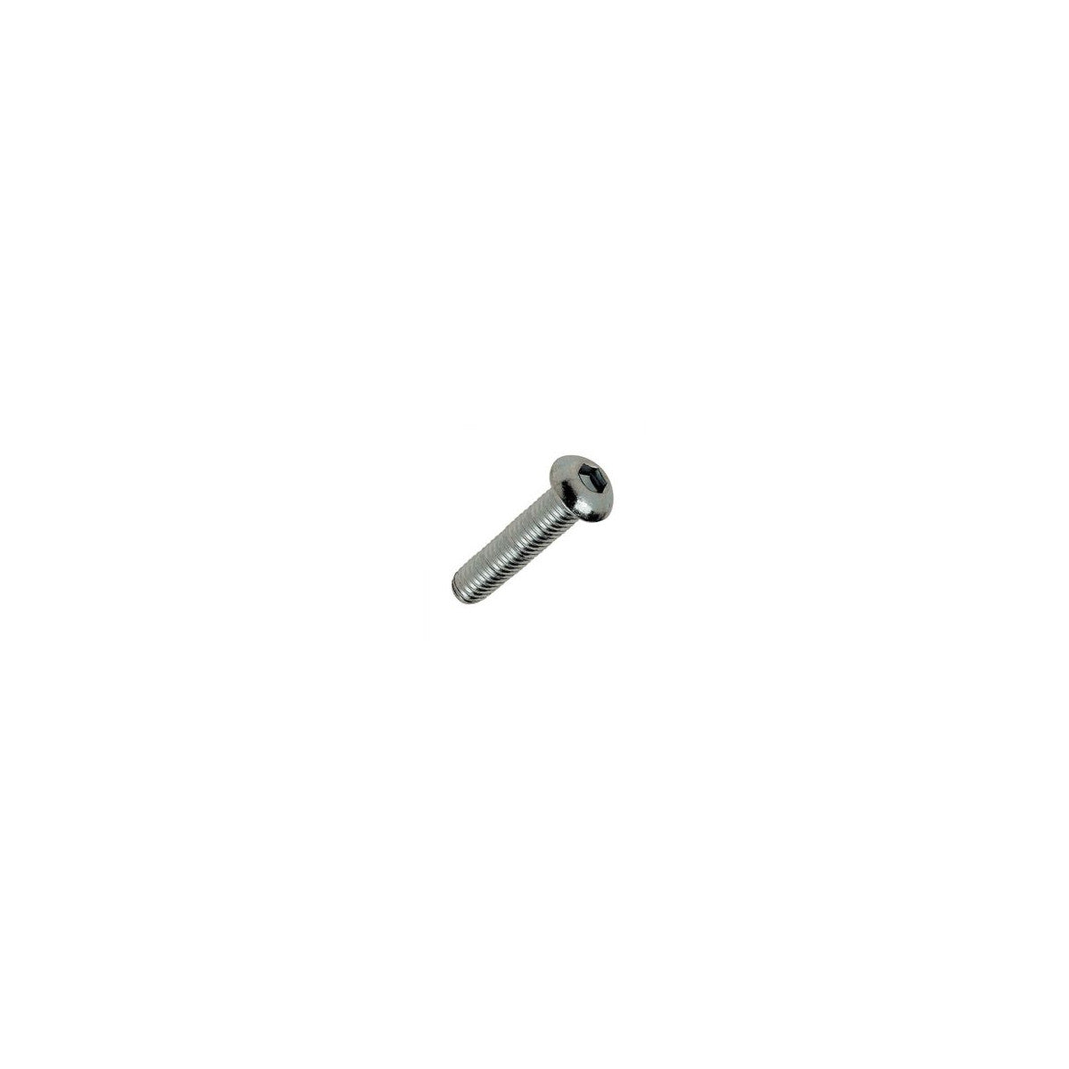 Vis à tête bombée (TBHC) – sachet BLACKBEARING – Inox / M6 x 16 mm (20 pièces)