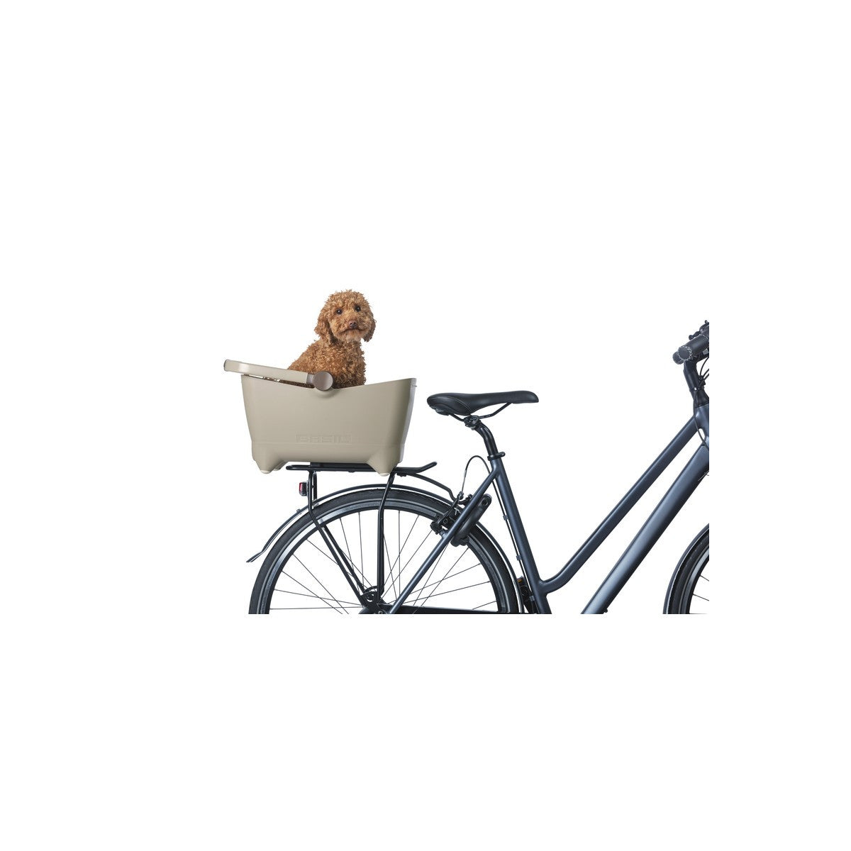 Panier arrière pour chiens Buddy MIK BASIL