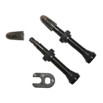 Valves tubeless Presta Schwalbe obus démontable (paire) – 40 mm