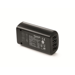 Chargeur WRL Campagnolo