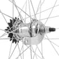 Roue arrière city 650B à rétropédalage (torpédo) – vue 4