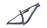 Cadre SPECIALIZED Chisel Mvemet/Oistnt/Flksil