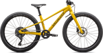 Vélo SPECIALIZED Riprock 24 INT Slphr/Oakgrn