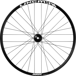Roue Avant Mavic Deemax Park 29