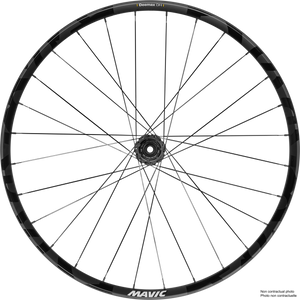 Roue Arrière Mavic Deemax DH 29