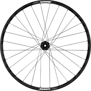 Roue Arrière Mavic Deemax DH 29
