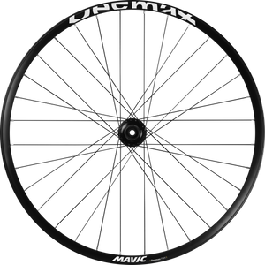 Roue Arrière Mavic Deemax Park 29