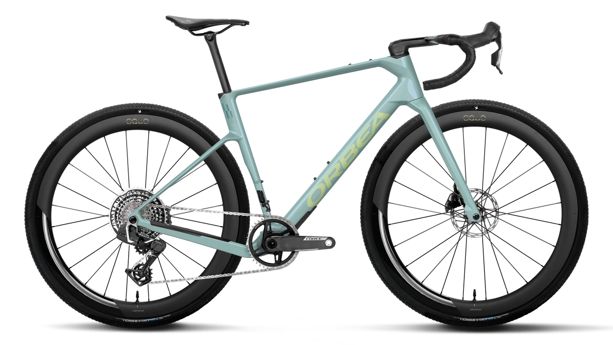 Orbea Terra Race M21eLTD 1X 2027 - Frozen