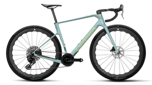 Orbea Terra Race M12 LTD 1X PWR 2027 - Frozen