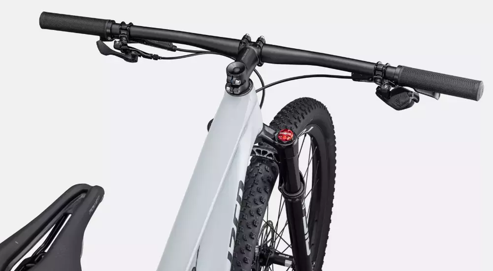 SPECIALIZED EPIC EXPERT MORNMST/METDKNVY