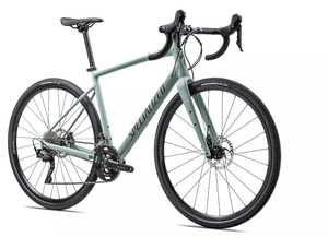 SPECIALIZED DIVERGE E5 ELITE WHTSGE/TPE