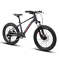 Vélo Enfant POLYGON Xtrada 20"