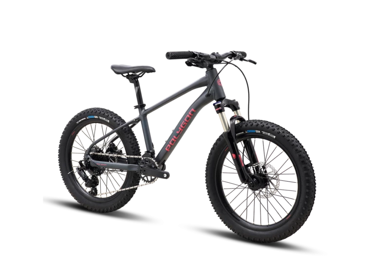 Vélo Enfant POLYGON Xtrada 20"