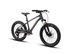 Vélo Enfant POLYGON Xtrada 20"