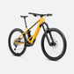 Orbea Wild H10 2025