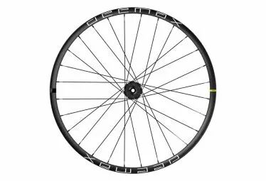 Roue Mavic Deemax 29 21 Arrière 12x157 XD