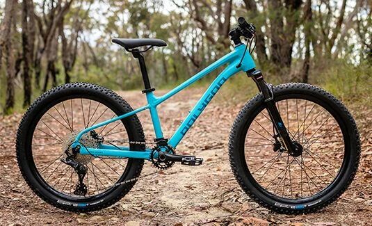 Vélo Enfant POLYGON Xtrada 24"