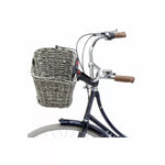 STRUCTURA SCHILF Gris KLICKFIX