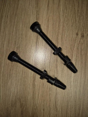 Valves Tubeless pour roues Roval Alpinist