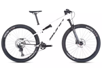 Sunn Shamann XC S2