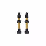 Valves Tubeless 2 pieces 48,60 ou 80 mm BBB