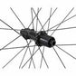 Roue SPECIALIZED ROVAL TERRA CLX II REAR HG SATIN CARBON/GLOSS Noir 700C