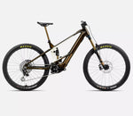 Orbea Wild M-LTD 2025
