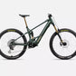 Orbea Wild M-LTD 2025