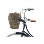 STRUCTURA SCHILF Marron KLICKFIX