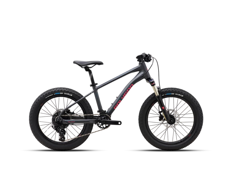 Vélo Enfant POLYGON Xtrada 20"