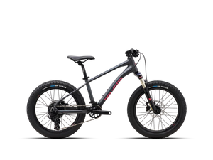 Vélo Enfant POLYGON Xtrada 20"