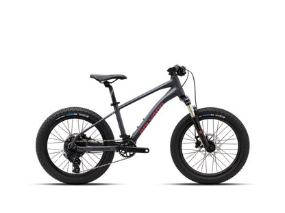 Vélo Enfant POLYGON Xtrada 20"