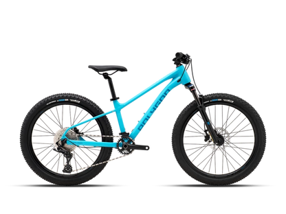 Vélo Enfant POLYGON Xtrada 24"