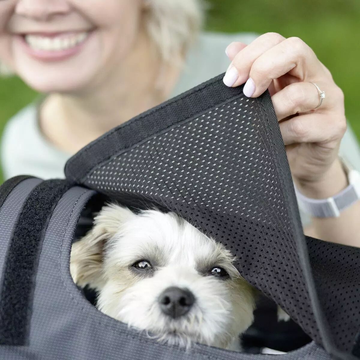 Protection soleil Doggy KLICKFIX
