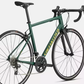 SPECIALIZED Allez E5 sport pngrn/metgld/carb