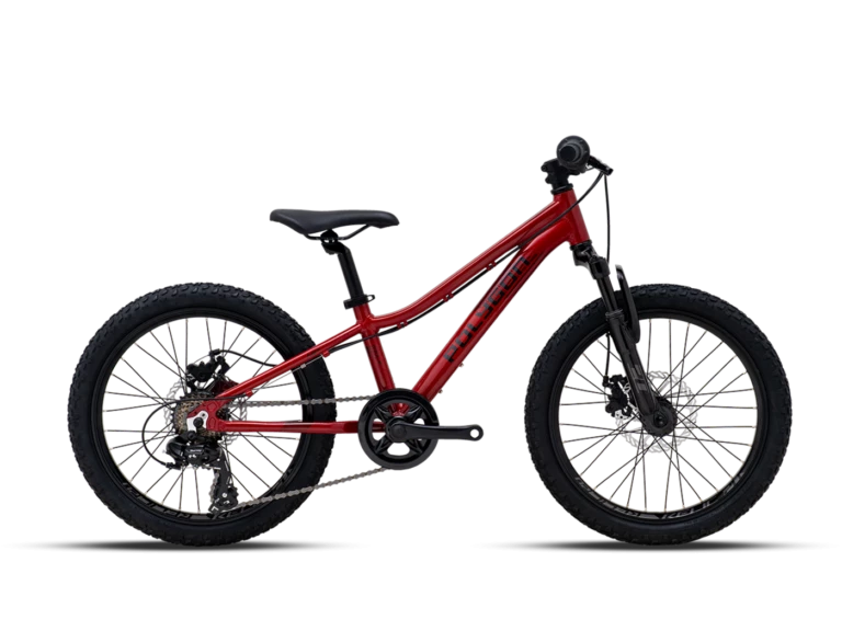Vélo Enfant POLYGON Relic 20" Rouge