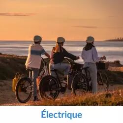 Cat�gorie de v�los �lectrique chez VeloBoutiquePro.com