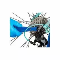 Brosse pour Transmission Park Tool